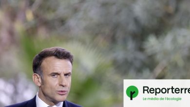 l’opposition de façade d’Emmanuel Macron