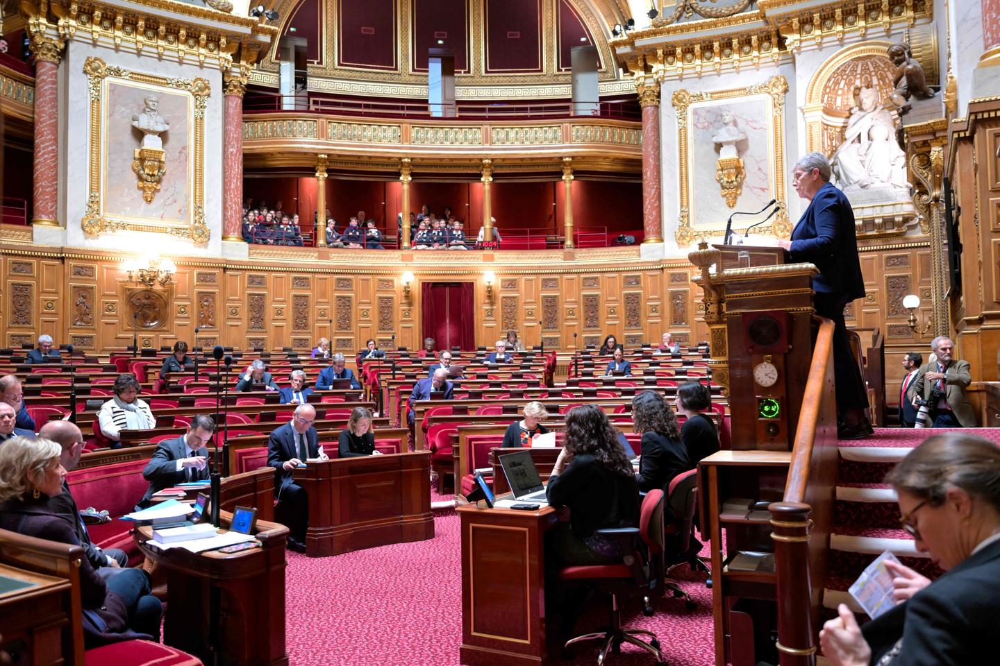 le Sénat vote deux extensions pour la dépendance des personnes âgées ou handicapées