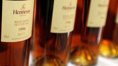 En grève, les salariés d’Hennessy dénoncent un projet de délocalisation en Chine – 19/11/2024 à 13:26