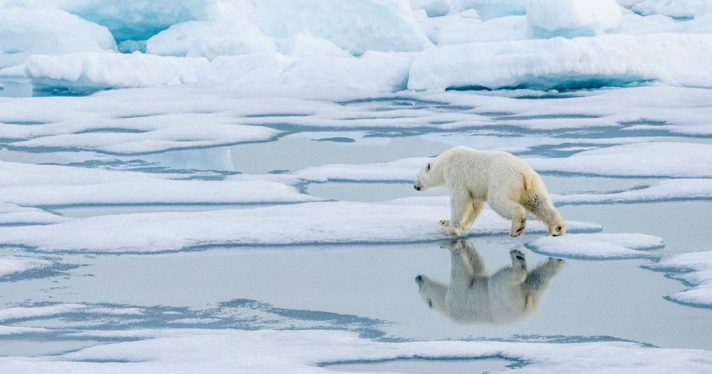 « Le déni climatique repose le plus souvent sur de fausses croyances »