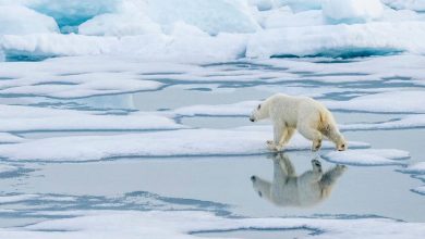 « Le déni climatique repose le plus souvent sur de fausses croyances »