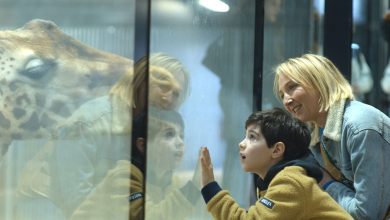 le portrait d’une mère d’un enfant autiste, « pas équipé » pour gravir la montagne