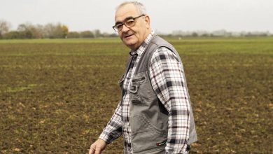 « Si tous les Français achetaient un fromage bio par mois, il n’y aurait plus de crise » – Libération