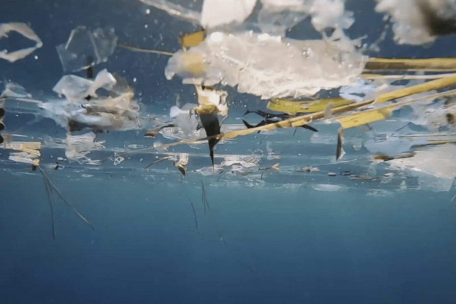 La Corse, ensevelie sous les déchets plastiques, espère que les Etats trouveront un accord pour lutter contre cette pollution