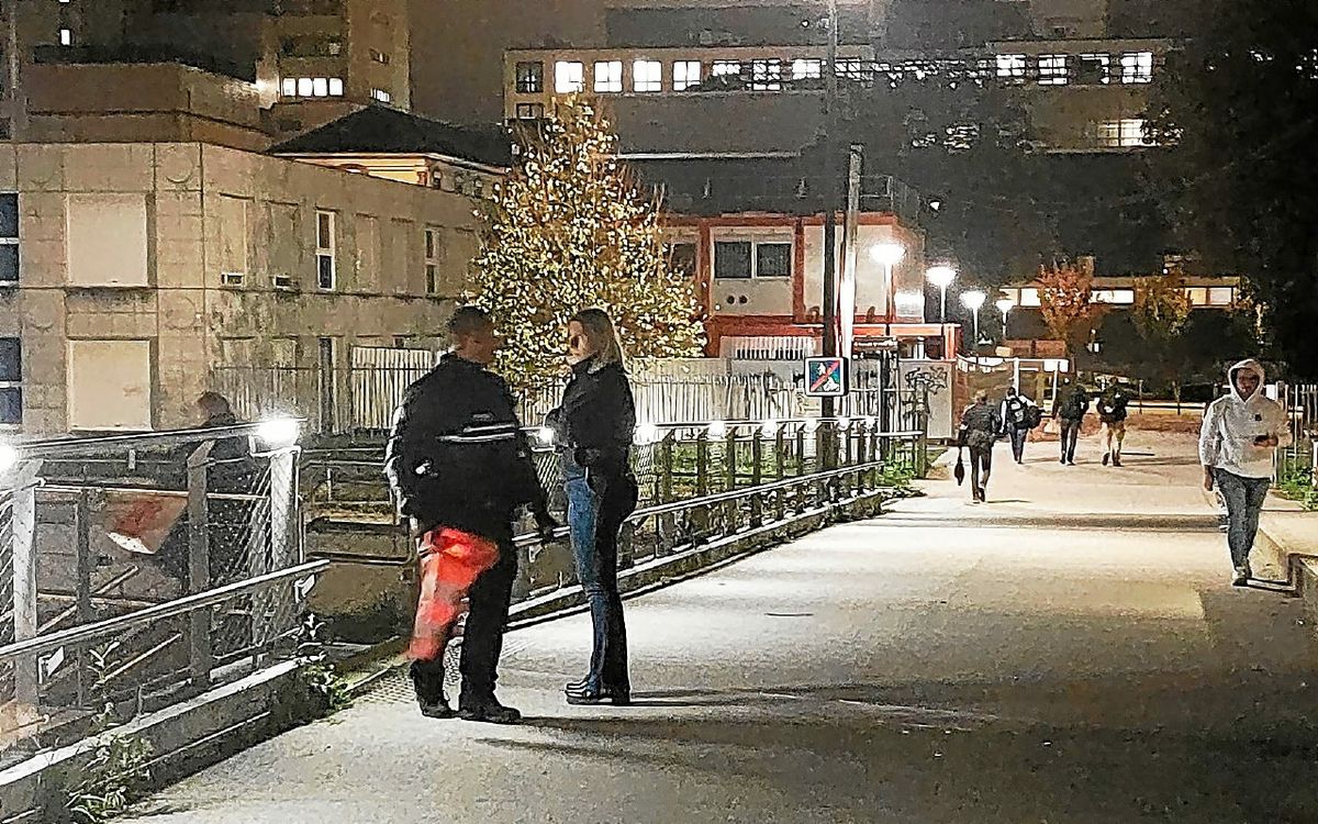 Tué au couteau à Rennes : après avoir reconnu les faits, un jeune de 18 ans placé en détention