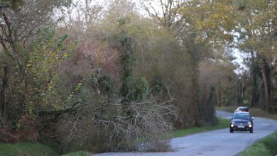 EN DIRECT – Tempête en Bretagne : de très fortes rafales de vent provoquant des chutes d’arbres, un retour de la neige attendu cette nuit