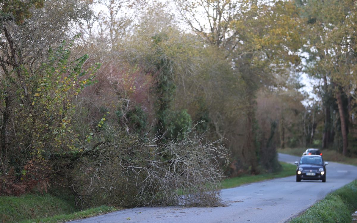 EN DIRECT – Tempête en Bretagne : de très fortes rafales de vent provoquant des chutes d’arbres, un retour de la neige attendu cette nuit