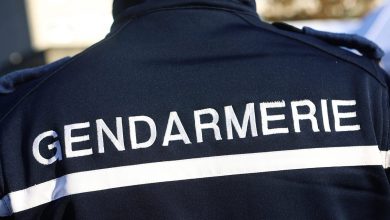 3 enfants retrouvés morts, la piste d’un crime familial privilégié