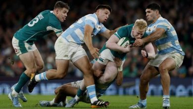 L’Irlande s’impose dans la douleur contre l’Argentine à Dublin