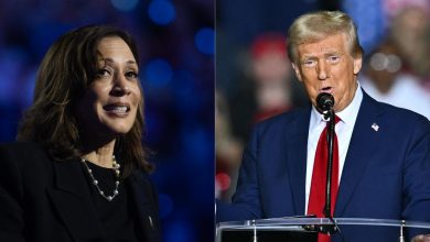 le scénario déroutant d’une égalité parfaite entre Donald Trump et Kamala Harris