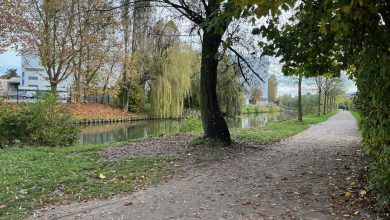 Un homme de 58 ans poignardé, un suspect interpellé à Marcq-en-Barœul