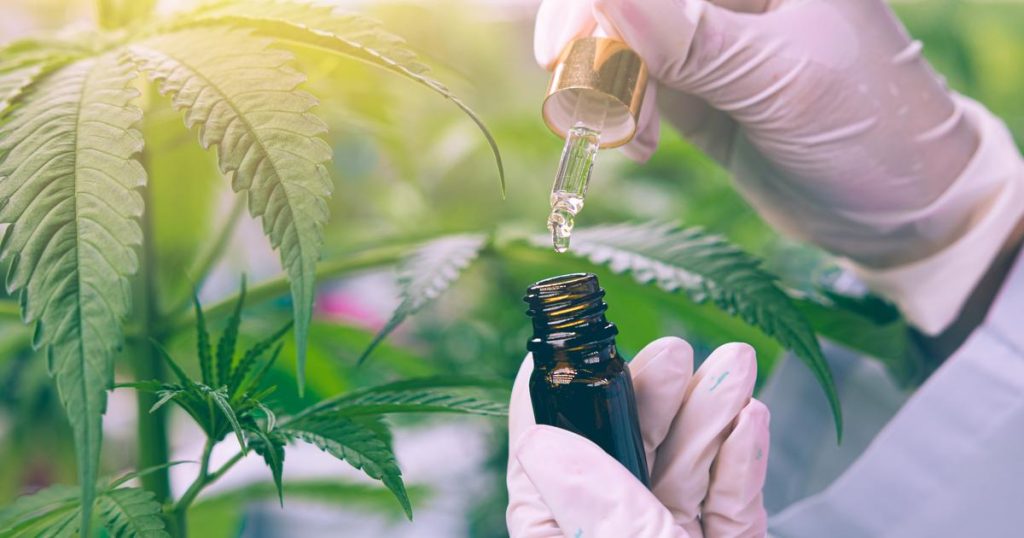 Le cannabis médical pourrait ne plus être accessible en 2025