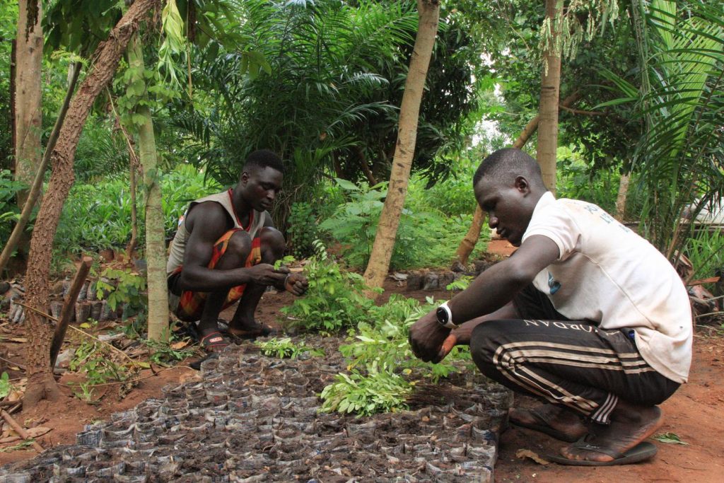 L’Afrique se considère comme la plaque tournante du futur marché mondial des droits à pollution