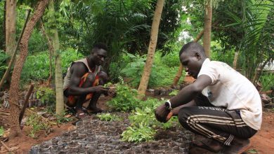 L’Afrique se considère comme la plaque tournante du futur marché mondial des droits à pollution