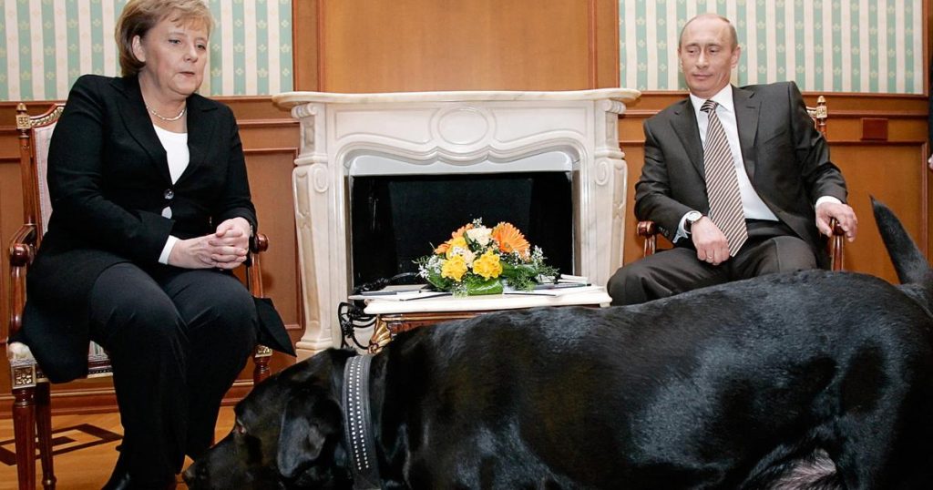 Vladimir Poutine regrette d’avoir effrayé Merkel avec son chien