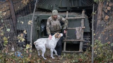 Vivre, guerre en Ukraine : Volodymyr Zelensky assure que les soldats nord-coréens ont commencé à se battre – Le Monde