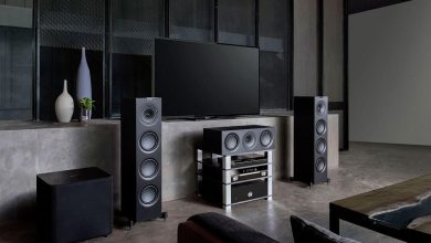 cette enceinte sur pied est la préférée des audiophiles grâce à son excellent rapport qualité/prix