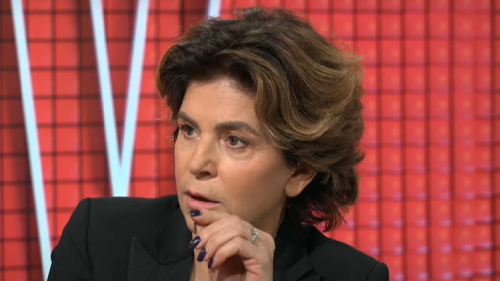 Anne Nivat cash sur la fermeture de C8 : « Il faut respecter la loi »