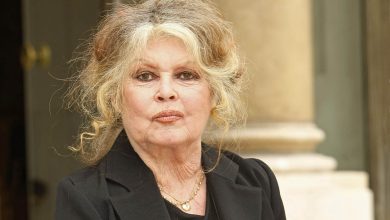 Brigitte Bardot : une véritable nuit cauchemardesque à la Madrague