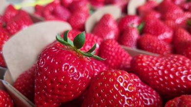 Intermarché et Netto arrêteront la vente de fraises et de cerises pour les fêtes de fin d’année