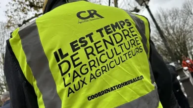 Lisier et têtes de sanglier déposés par les éleveurs sur les grilles de la Fédération des Chasseurs de Dordogne – Chasse Passion