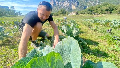 Pour approvisionner son restaurant de Mandelieu en légumes locaux, il rachète une ferme dans l’arrière-pays