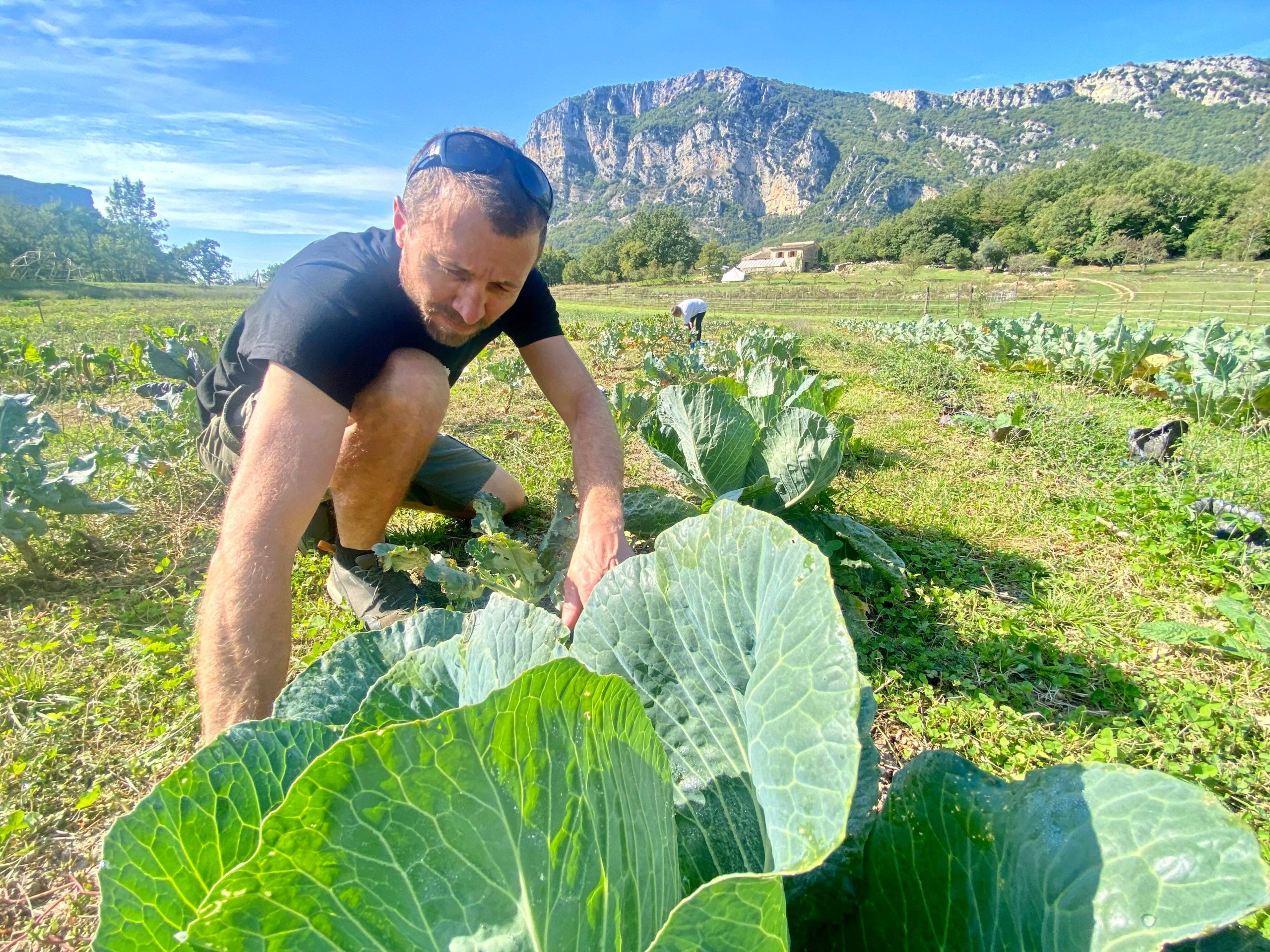 Pour approvisionner son restaurant de Mandelieu en légumes locaux, il rachète une ferme dans l’arrière-pays