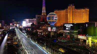 Classement F1 2024 – Le championnat après le GP de Las Vegas