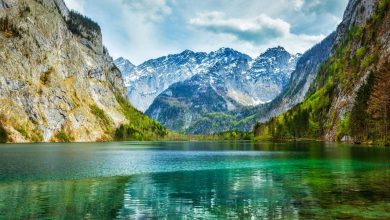 Découverte de fossiles vieux de 280 millions d’années dans les Alpes, plus vieux que les dinosaures