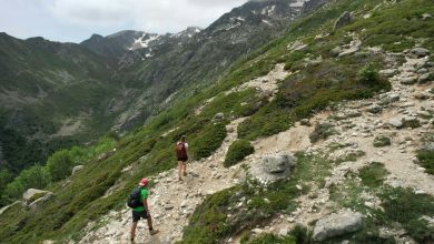 des randonneurs découvrent par hasard des traces préhistoriques