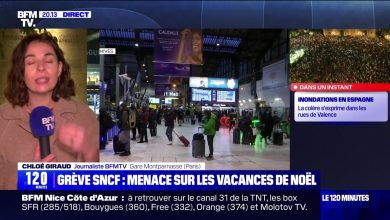 Grève à la SNCF : menace sur les vacances de Noël