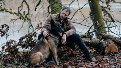 Le Voyageur (France 3) – Bruno Debrandt parle de la chienne Emy : « En réalité, il s’appelle Maïko… »