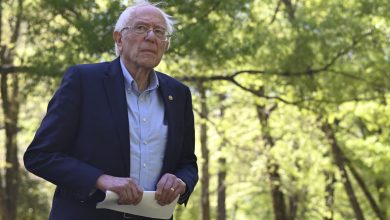 Bernie Sanders critique la « campagne désastreuse » de Kamala Harris