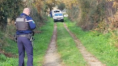 une opération d’évacuation d’une cinquantaine de chiots près de Nantes