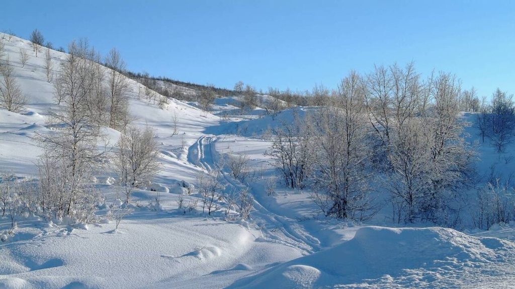 Un YouTubeur belge passionné par la nature meurt dans une tempête de neige en Laponie