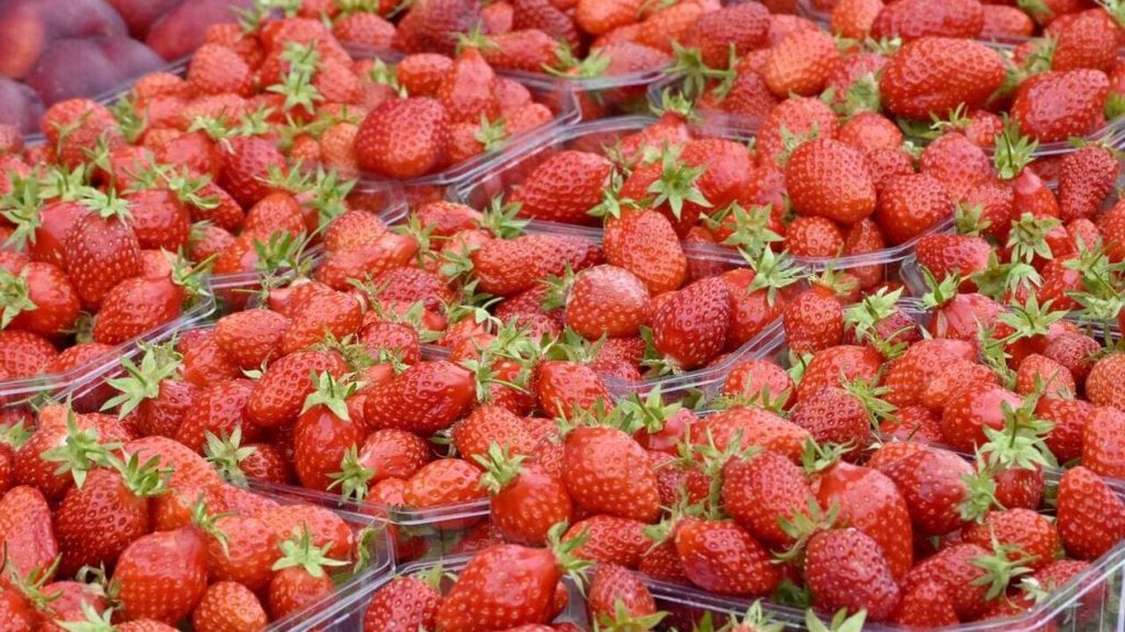 En soutien aux agriculteurs, les Mousquetaires arrêtent de vendre des fraises et des cerises à la fin de l’année