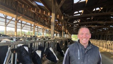 Éleveur laitier dans la Manche, « je gagne bien mieux ma vie qu’avec Lactalis »