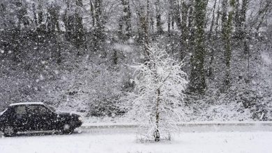 entre 7 et 10 cm attendus dans le département