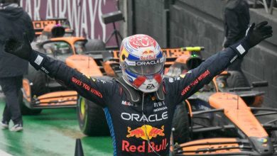 F1. Le classement du Championnat du Monde des Pilotes après le Grand Prix du Brésil