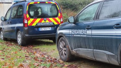 Trois enfants retrouvés morts en Haute-Savoie, leur mère recherchée