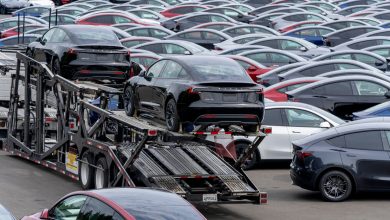 2025 sera l’année de tous les records pour Tesla