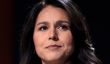 Qui est Tulsi Gabbard, le directeur du renseignement de Trump ? Regardez… et comparez à Lecornu et Macron.