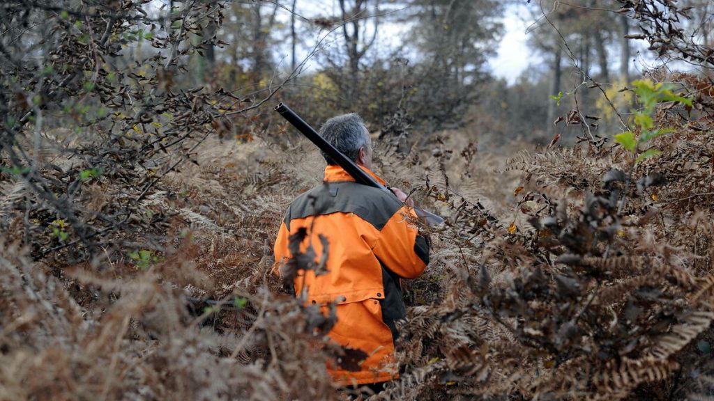 « Je pensais avoir marché sur une mine » : un promeneur amputé après un accident de chasse dans le Var