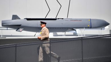 L’Ukraine utilise des missiles de croisière britanniques pour frapper la Russie pour la première fois