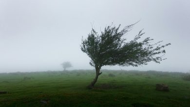 Après la neige, le vent fort s’abattra sur l’Orne avant « une montée extraordinaire »