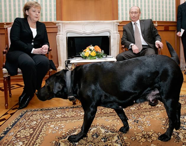 17 ans plus tard, Poutine revient sur le moment où il a effrayé Merkel avec son chien