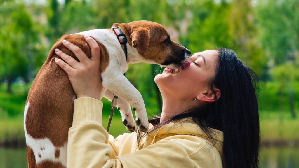 Hygiène : Ne laissez pas un chien vous lécher le visage