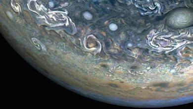 Digne d’un film de science-fiction : la sonde Juno de la NASA capture l’image d’un dauphin à la surface de Jupiter