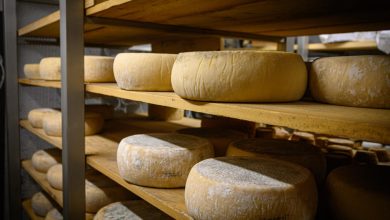 Le meilleur fromage du monde 2024 est portugais, devant près de 4 800 concurrents