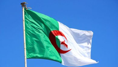 Tourisme, Marco Rubio et l’Algérie, révélations sur Houris par Kamel Daoud… Les 3 faits divers du samedi 16 novembre